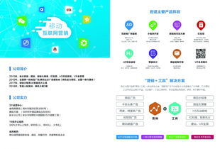河南地區數字廣告投放與設計服務全面解析